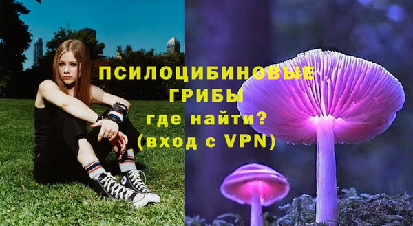 спиды Надым