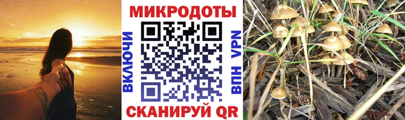 mega онион  Меленки  Галлюциногенные грибы Magic Shrooms 